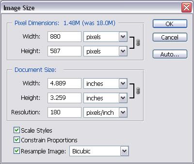 Posted Image
