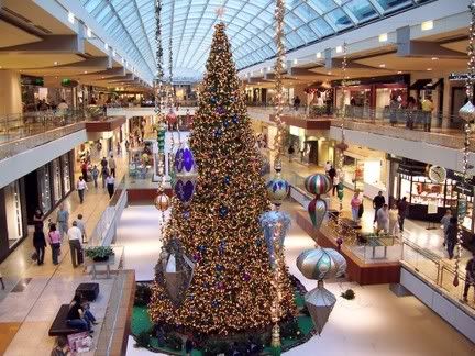 A very tall Christmas tree grows in the Galleria