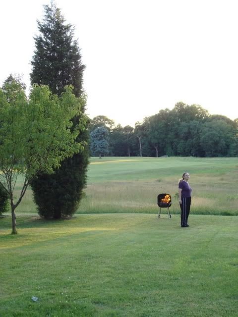 Bee minding the backyard grill, sort of