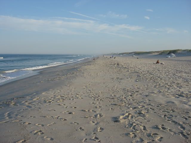 Island Beach State Park