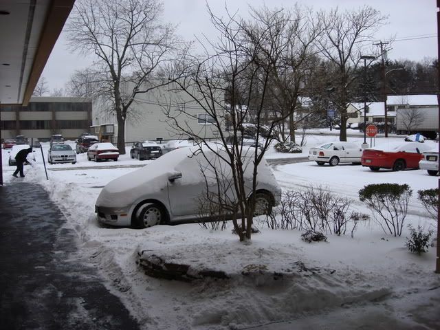 Snowy Fort Washington