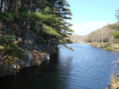 View from the bridge