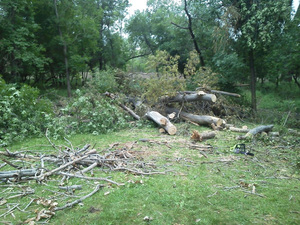 IMG_20110806_171628.jpg