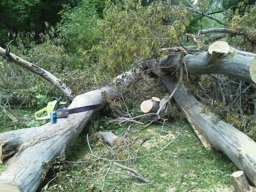 IMG_20110806_171724.jpg