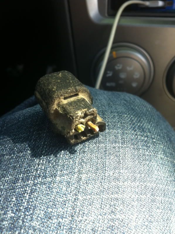 Sourcing Evap Plug (Re P0447 Code) NASIOC