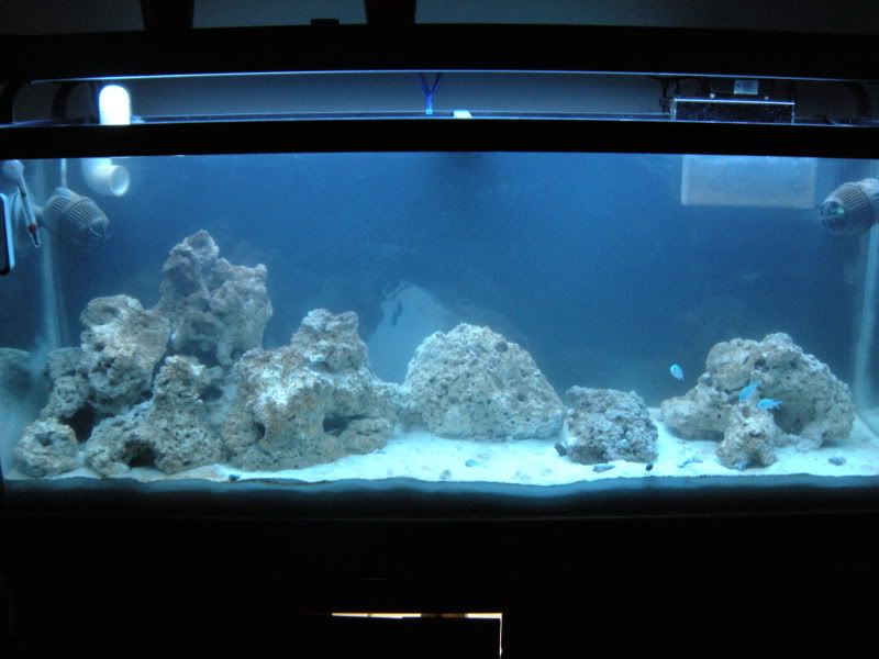 FishTank019.jpg