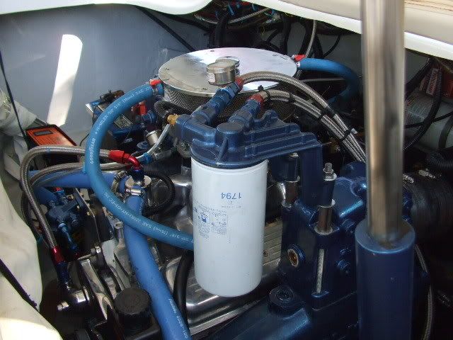 DSCF2401.jpg