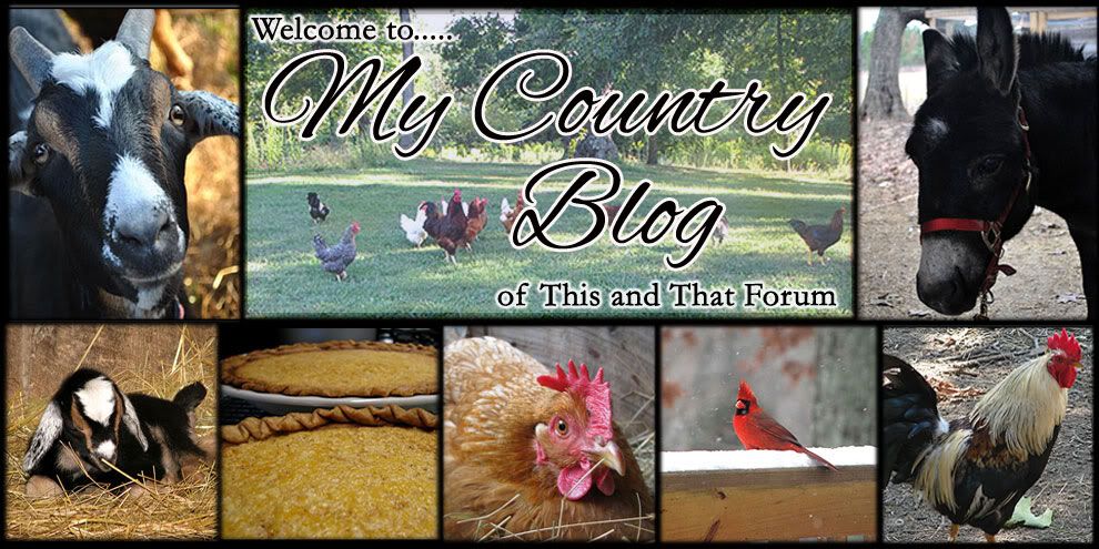 My Country Blog Forum