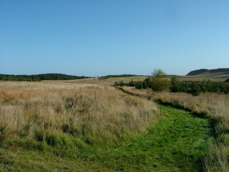 DSCF3013.jpg