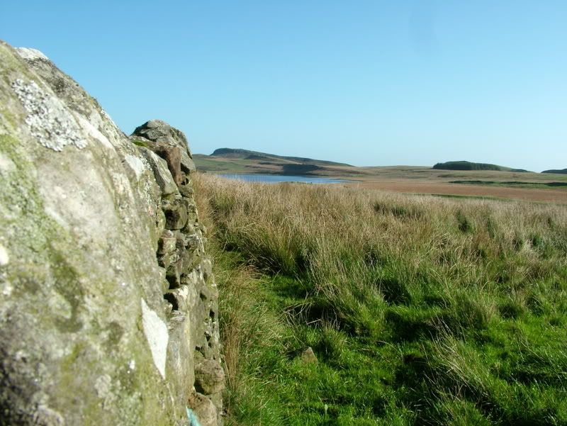 DSCF3042.jpg