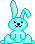 Bunny7