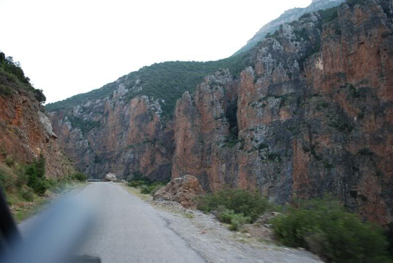 DSC_0816Medium.jpg