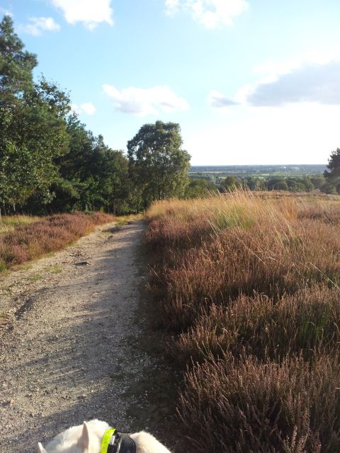 20120929_173526.jpg