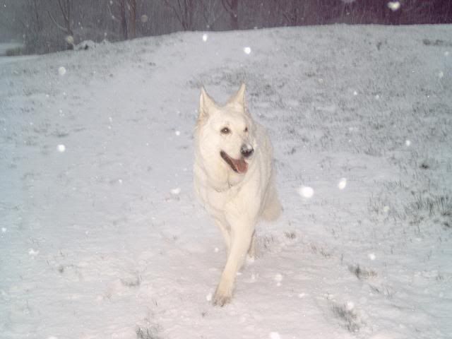 sneeuwmutsb.jpg
