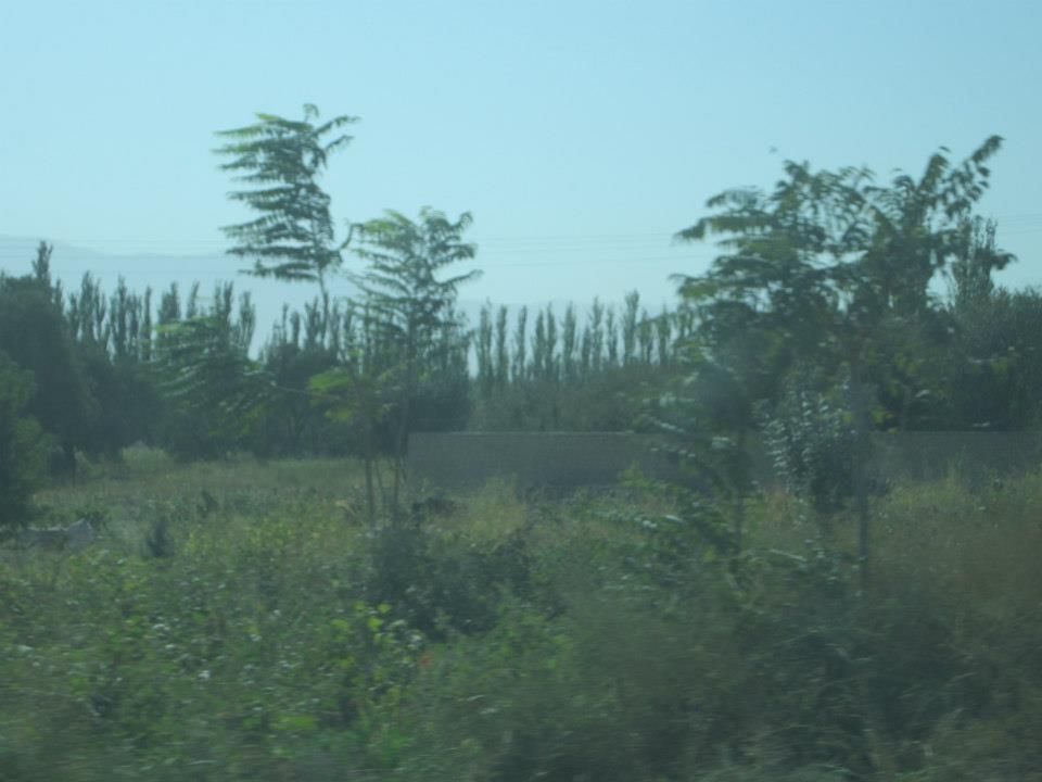 560287_3894473646839_470037383_n.jpg