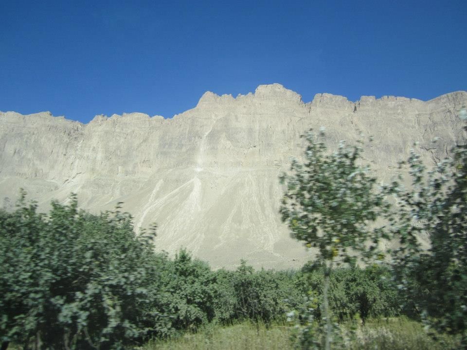 251203_3888851546290_691841383_n.jpg