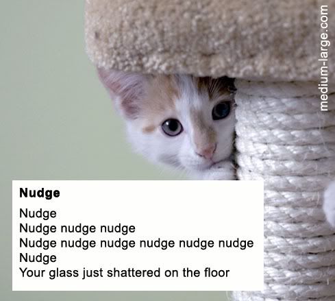 nudge-cat-poem-1.jpg