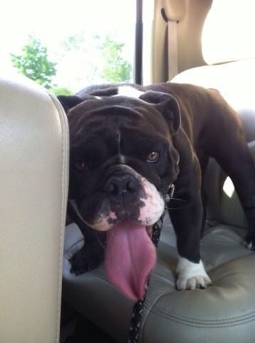 Uploaded from the Photobucket iPhone App