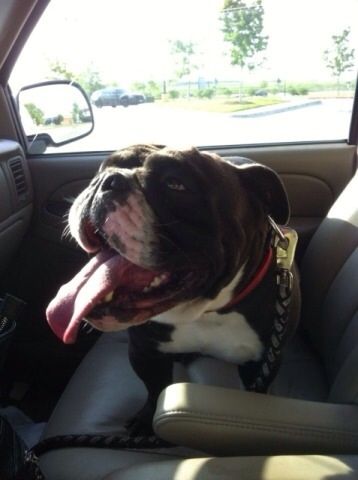 Uploaded from the Photobucket iPhone App