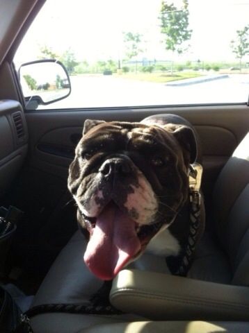 Uploaded from the Photobucket iPhone App