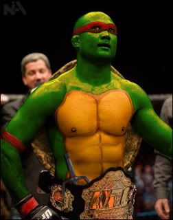 Bj Penn Turtle