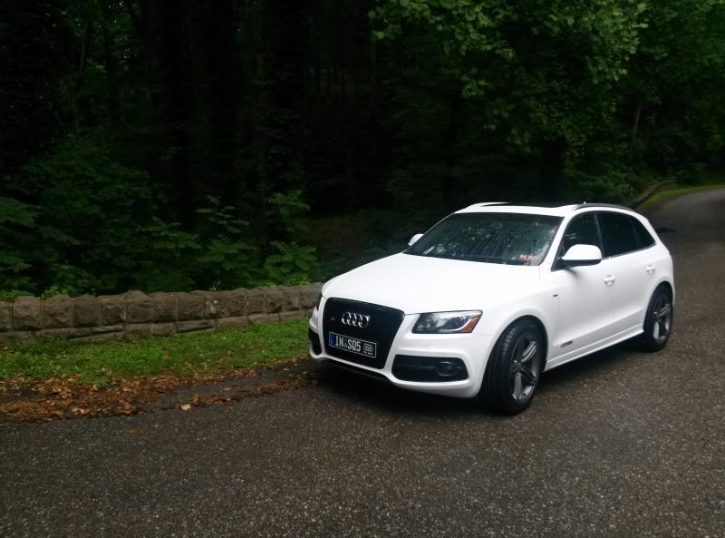Thunderdent Q5 Ibis Cinny Oem Build Thread Page