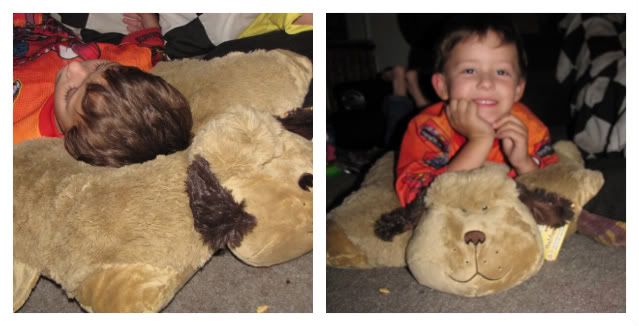 Funny Pillow Pets