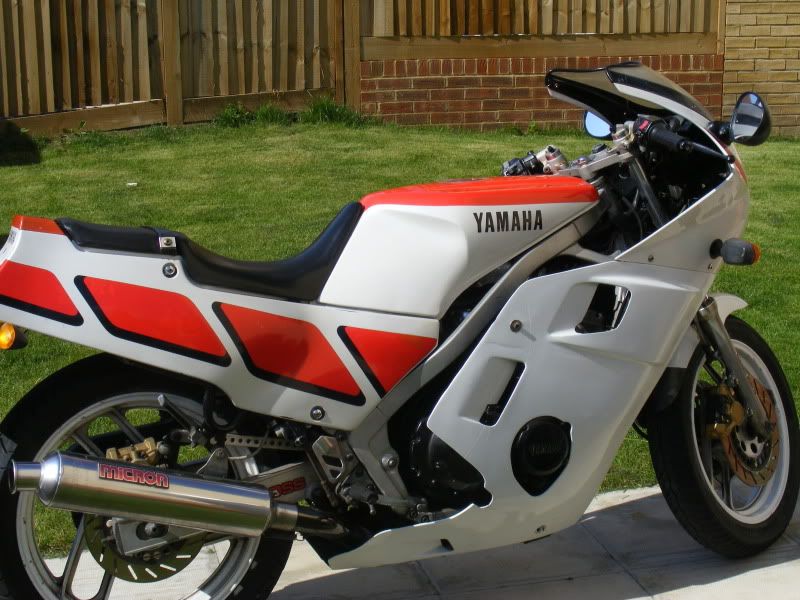 fz600.jpg