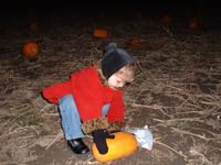 Pumpkin Pickin'