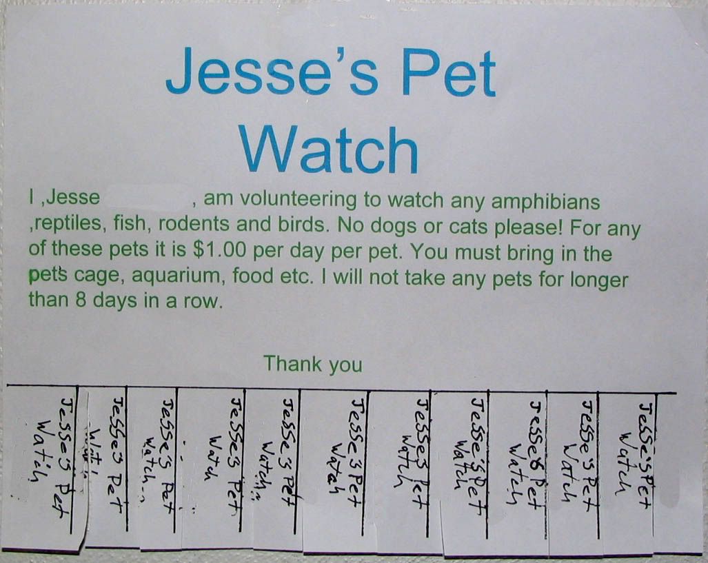Jesse's Pet Watch