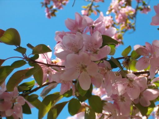 IMAGE: http://img.photobucket.com/albums/v491/xXxImmortalxXx/2006-05May012.jpg