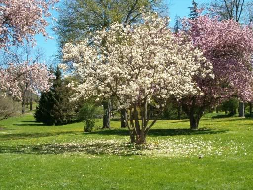 IMAGE: http://img.photobucket.com/albums/v491/xXxImmortalxXx/2006-05May021.jpg