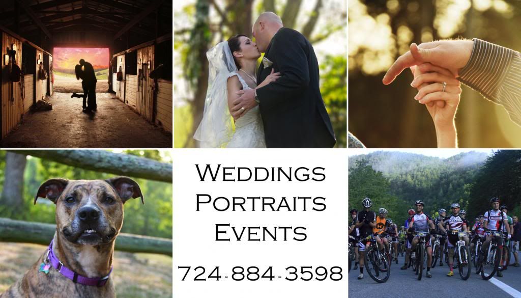 IMAGE: http://img.photobucket.com/albums/v491/zzkarottop/cardback_zpsfab36b67.jpg