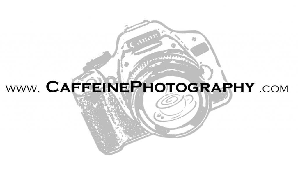 IMAGE: http://img.photobucket.com/albums/v491/zzkarottop/white_zps0920baf0.jpg