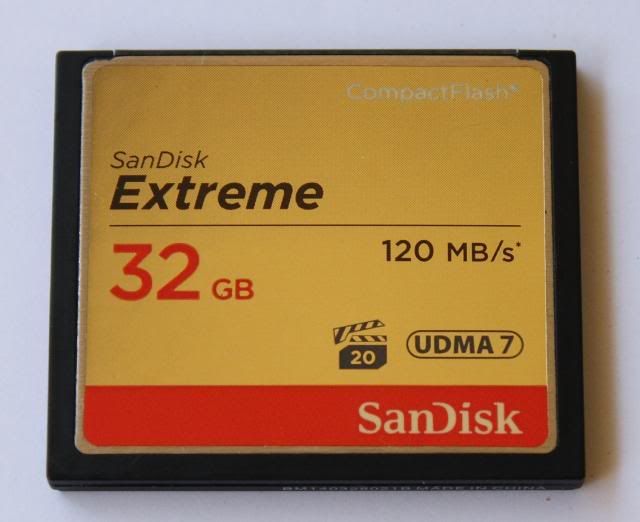 IMAGE: http://img.photobucket.com/albums/v492/AshleysBucket/IMG_2281SDcrops.jpg