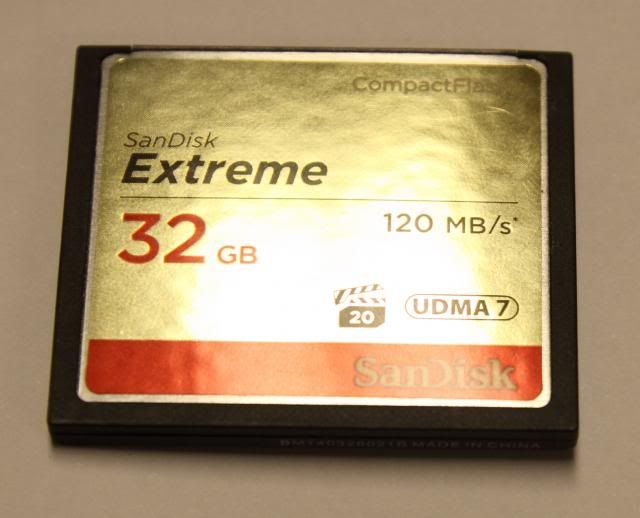 IMAGE: http://img.photobucket.com/albums/v492/AshleysBucket/IMG_2300SDcrops.jpg