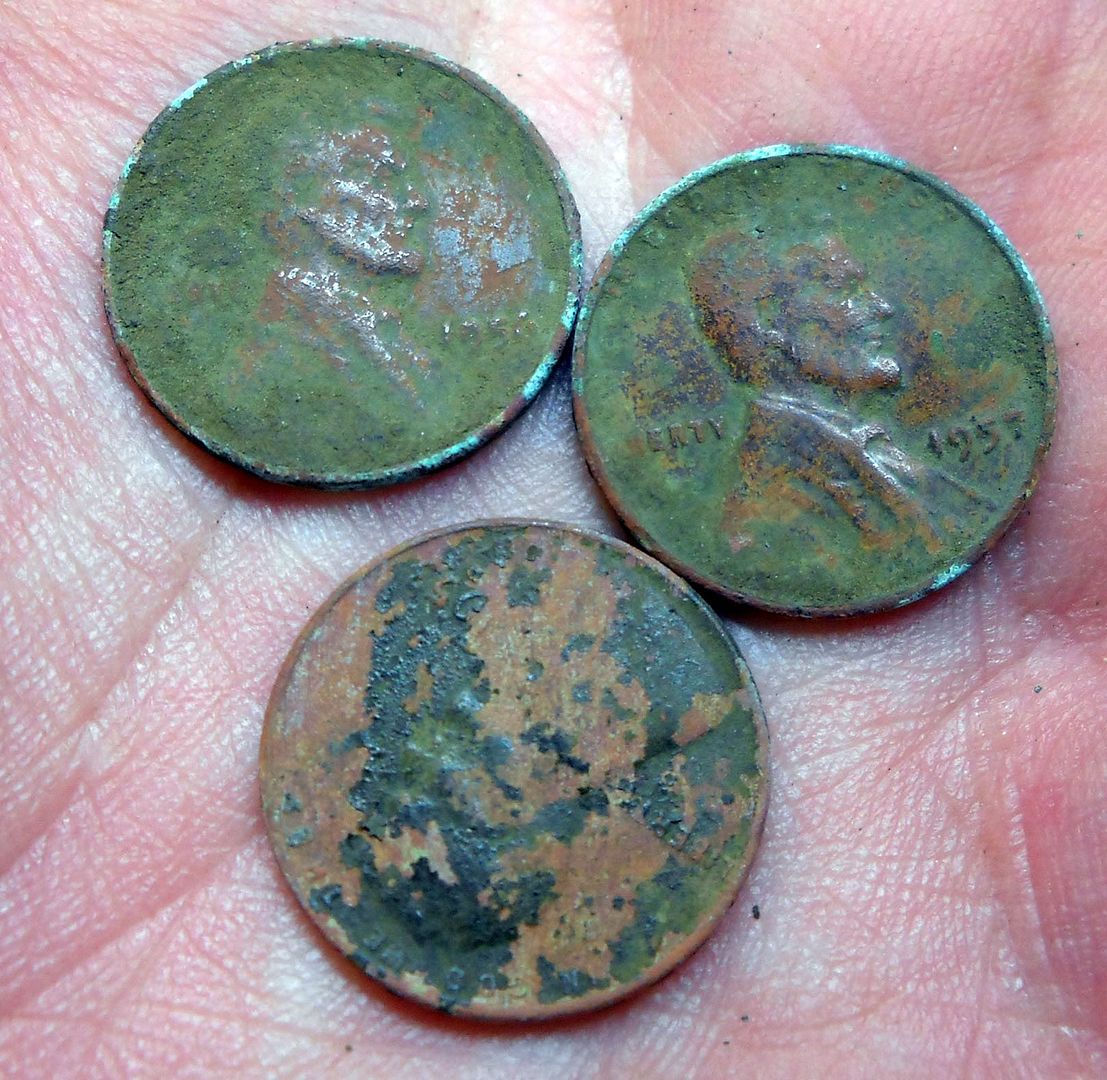 53D56D57Wheats.jpg