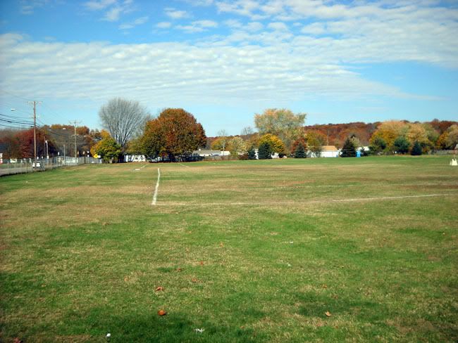 field.jpg