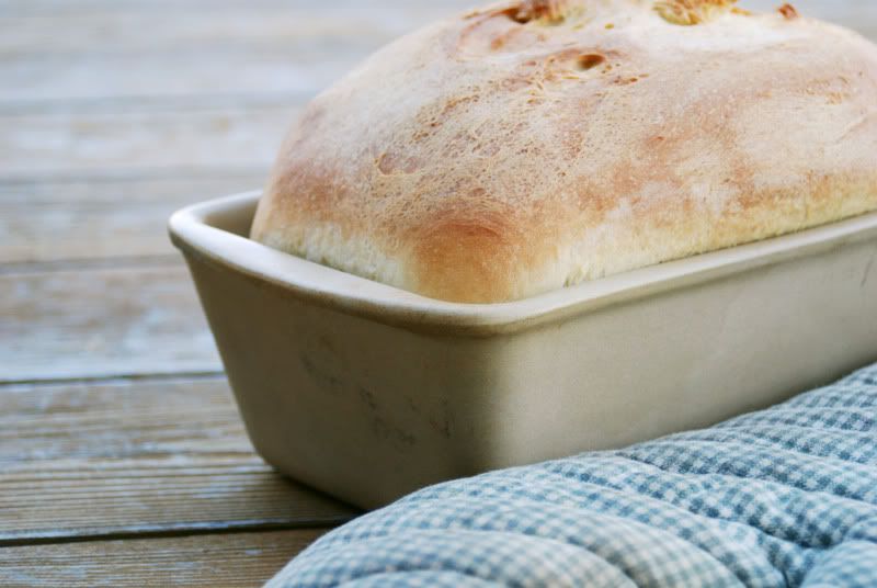 Homemade Bread in a stoneware pan on a wood surface