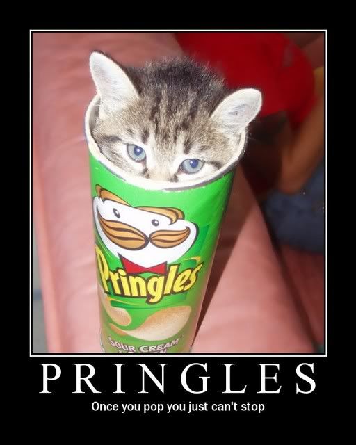 http://img.photobucket.com/albums/v492/NjccBflo/Pics%20OT/cat_pringles.jpg