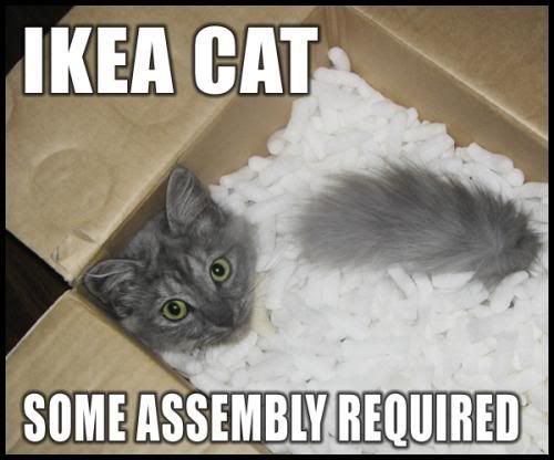 http://img.photobucket.com/albums/v492/NjccBflo/caturday/ikea-cat-some-assembly-required.jpg