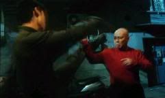 Cabeça-de-Ferro lutando