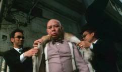 Cabeça-de-Ferro rico