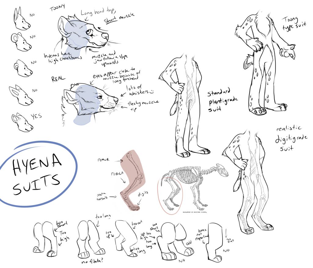 Hyena Fursuit Reference! - How DO you make those Animal Costumes