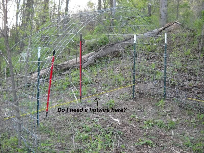 Hoop house and eletric fence - Pigs