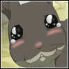 Brugeravatar