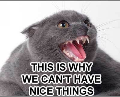 canthavenicethings.jpg