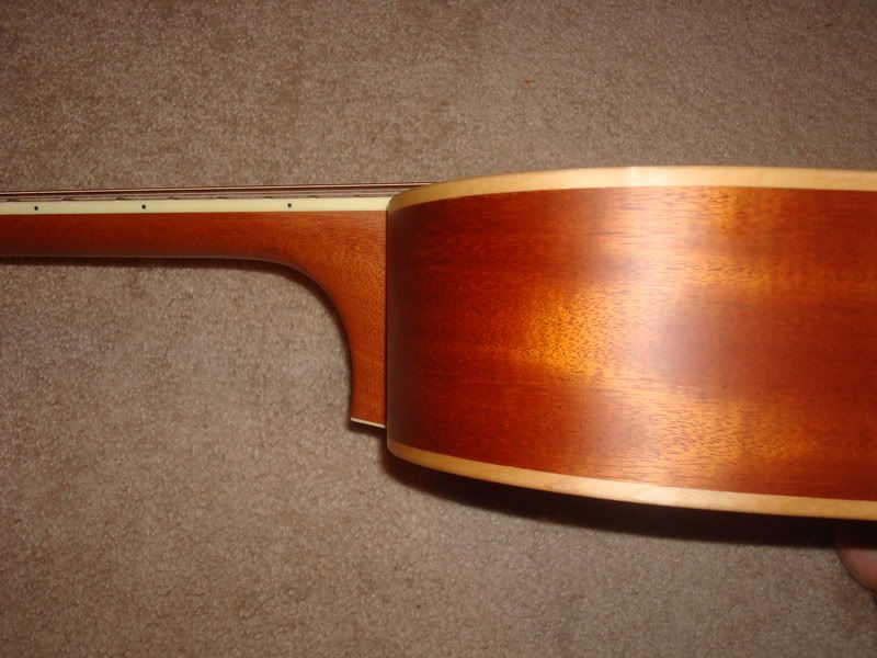 245.jpg