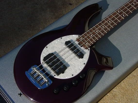 newsr5andbongopics002.jpg