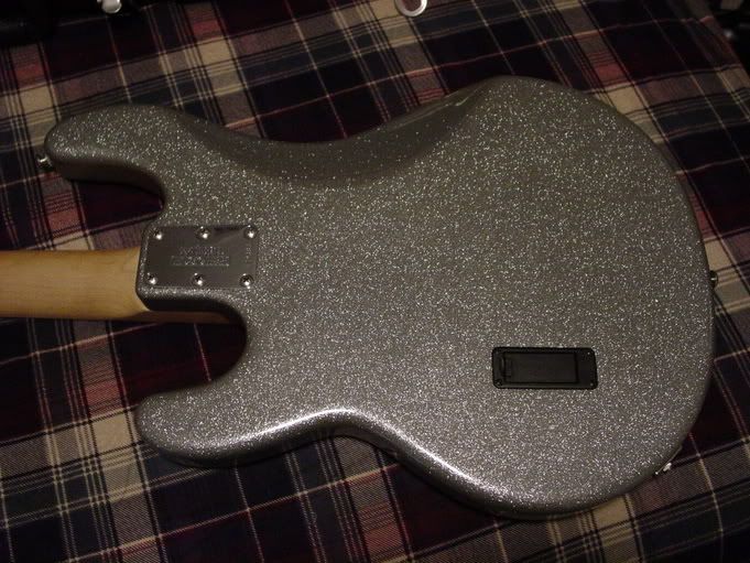 silversparklestingray003.jpg